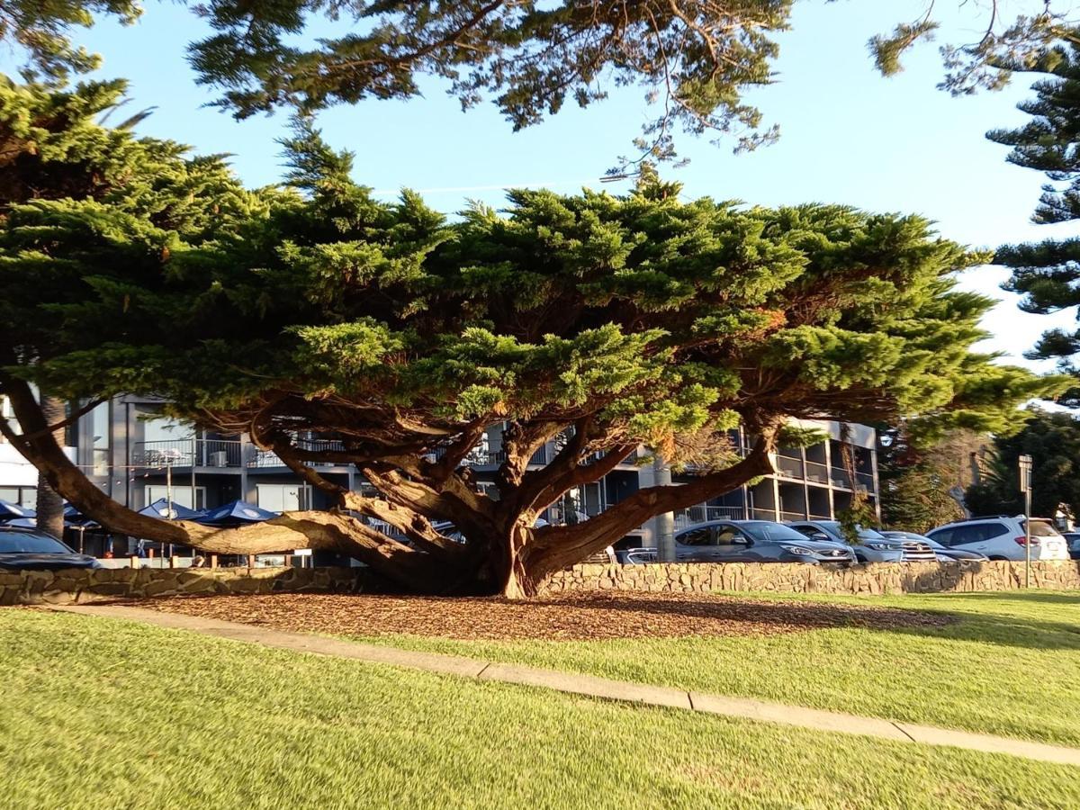 Apartments In Phillip Island Towers - Block C Cowes Luaran gambar