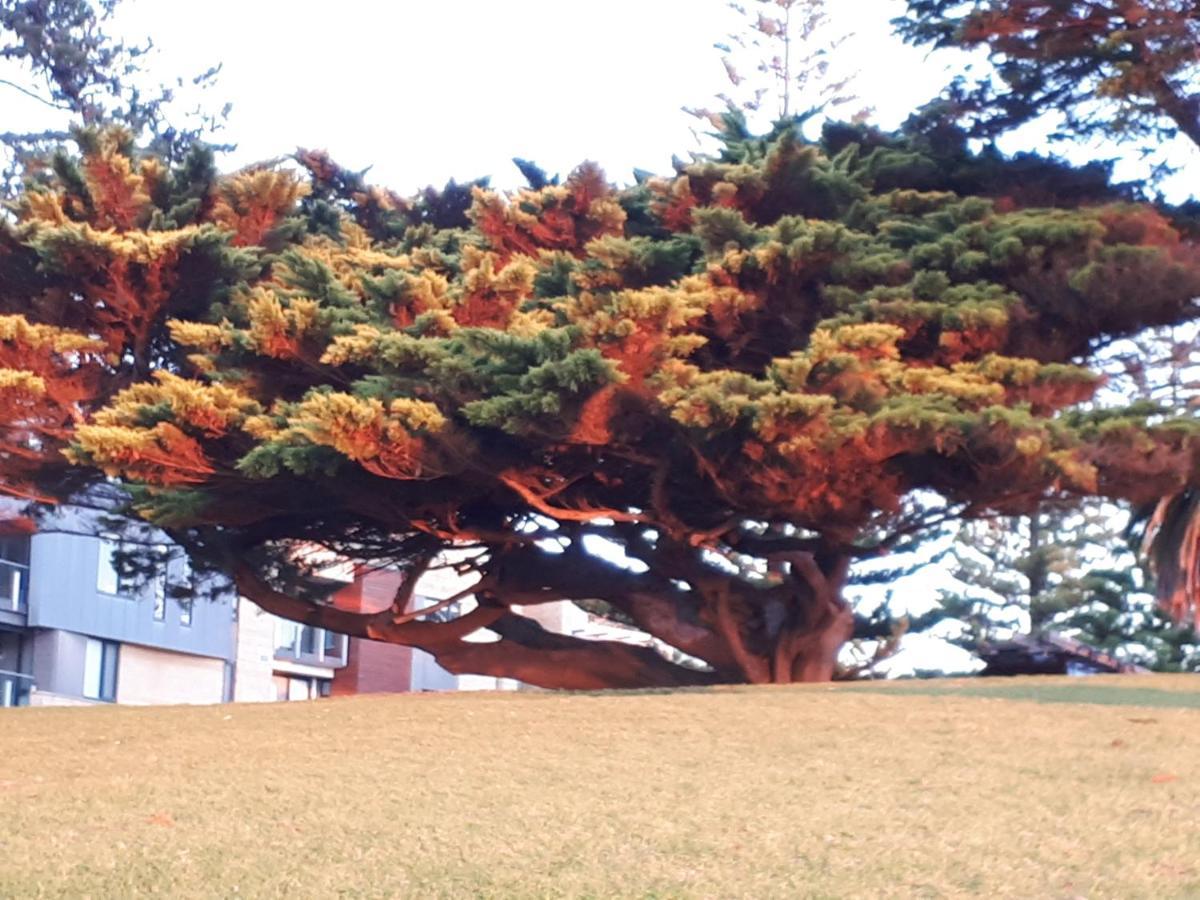 Apartments In Phillip Island Towers - Block C Cowes Luaran gambar